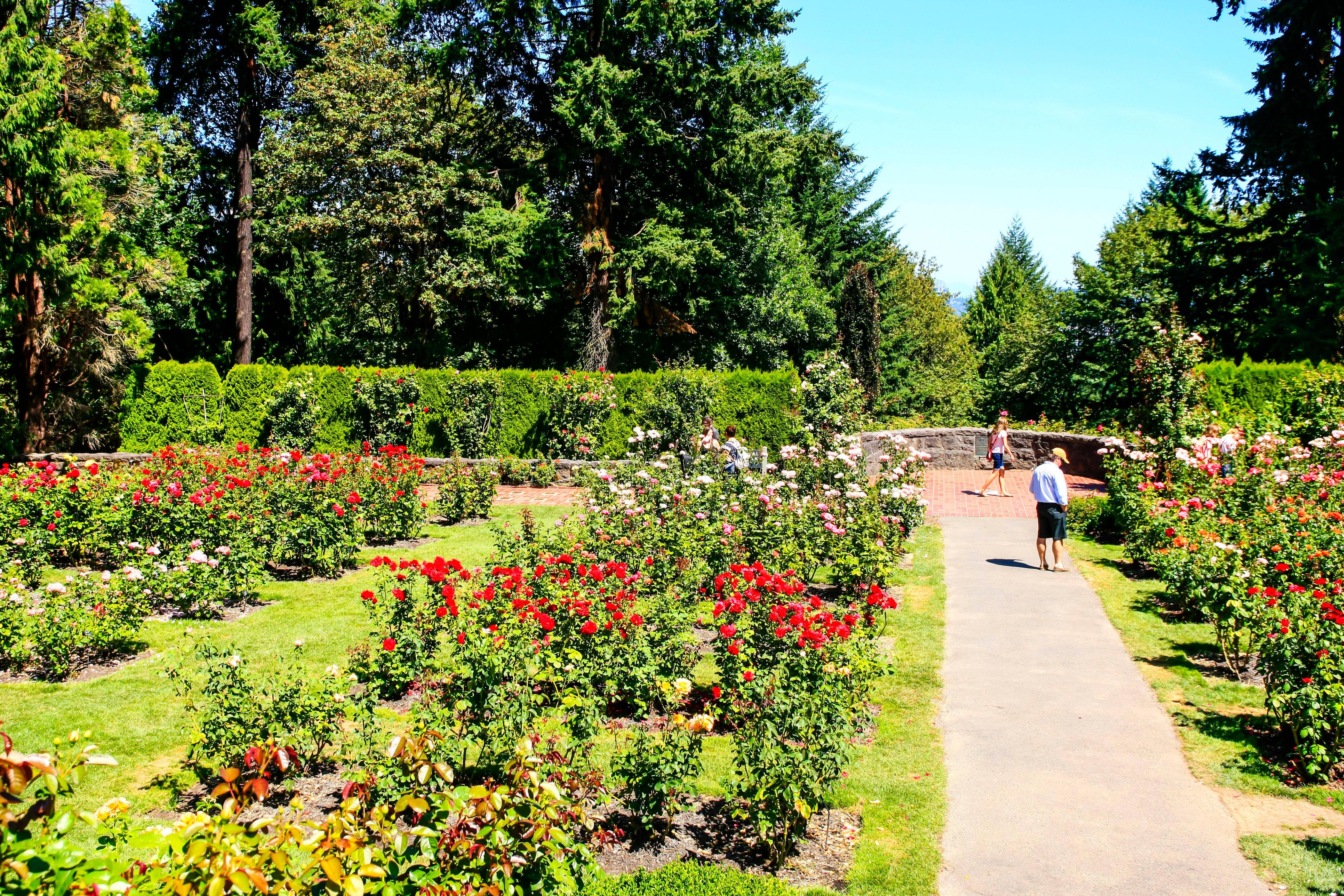 Holiday Inn Portland West - Hillsboro By Ihg Bagian luar foto
